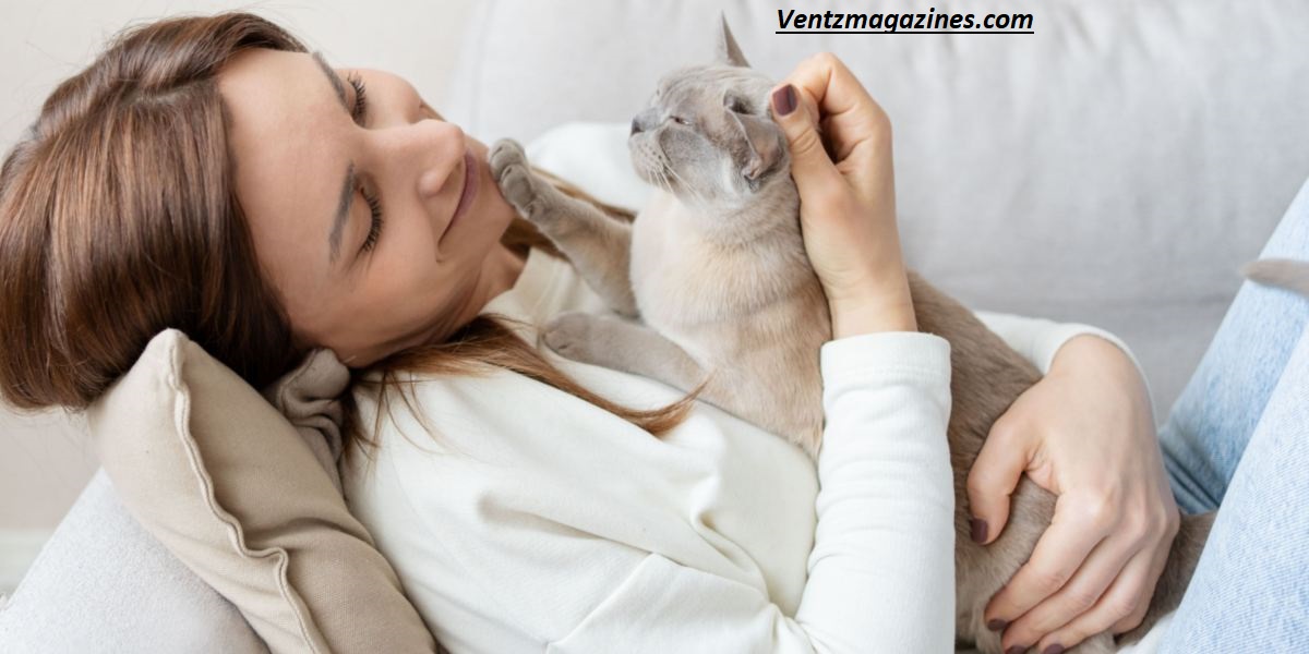 Why Cats Sleep on Your Chest? 9 Surprising Reasons