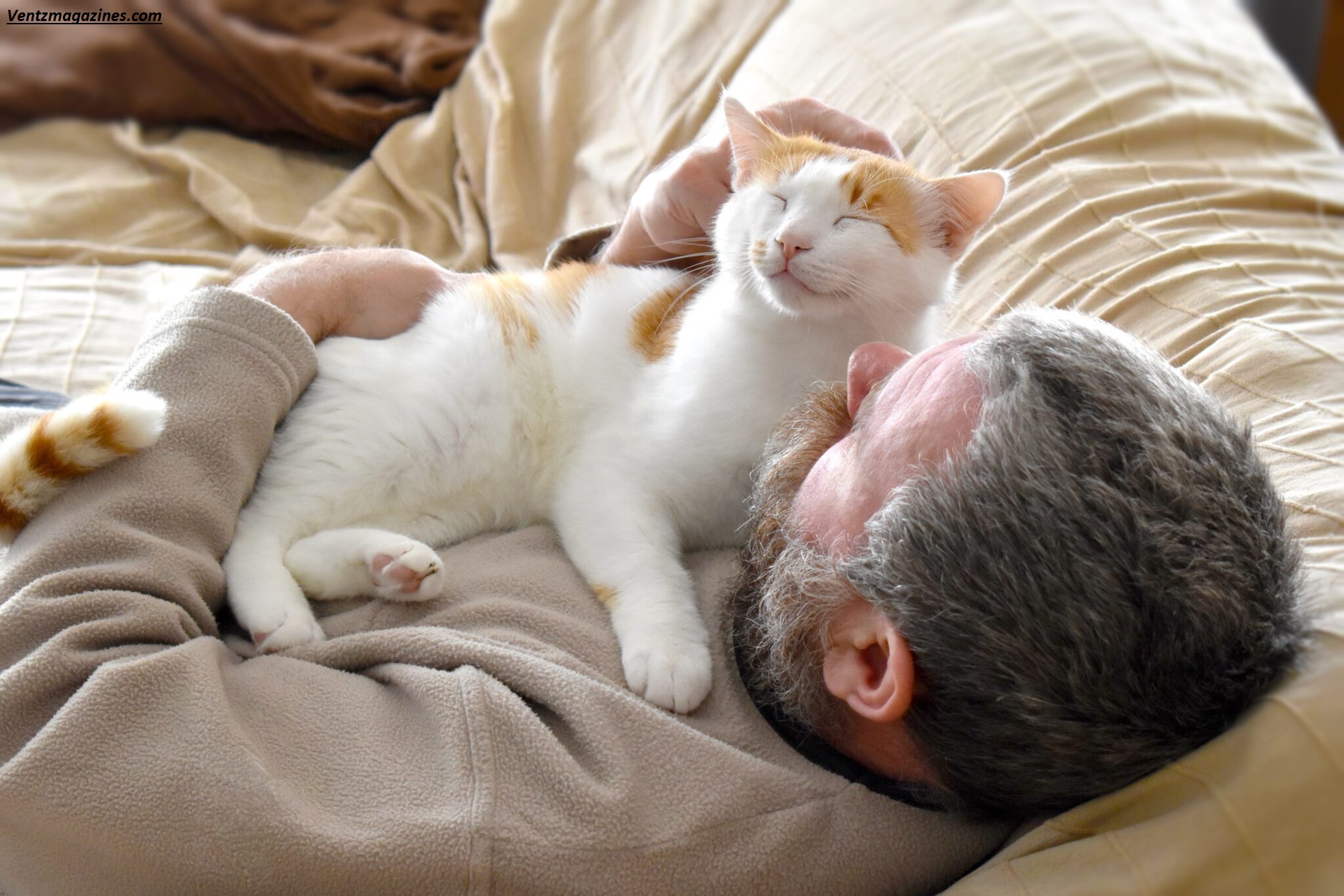 Why Cats Sleep on Your Chest? 9 Surprising Reasons